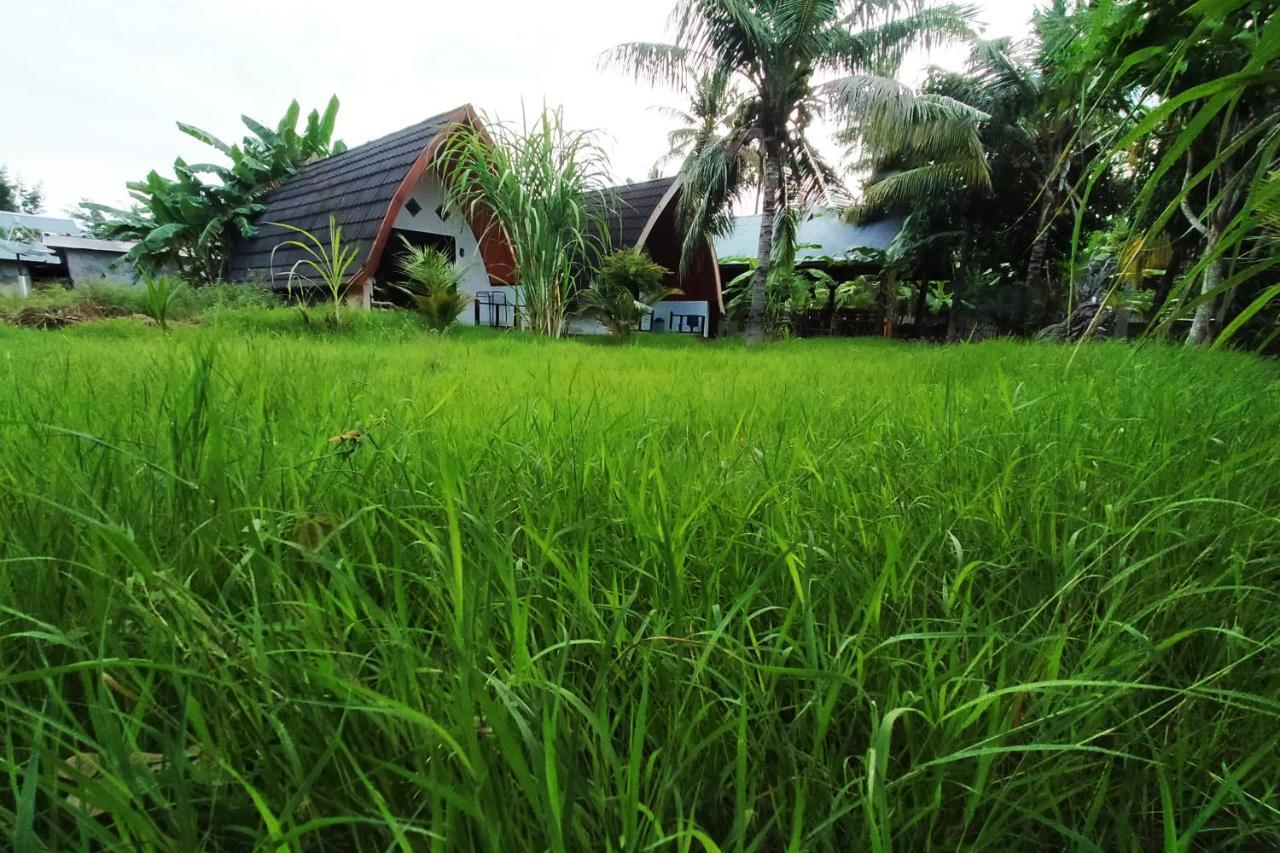 Coconut Gili Meno Hotel Ngoại thất bức ảnh