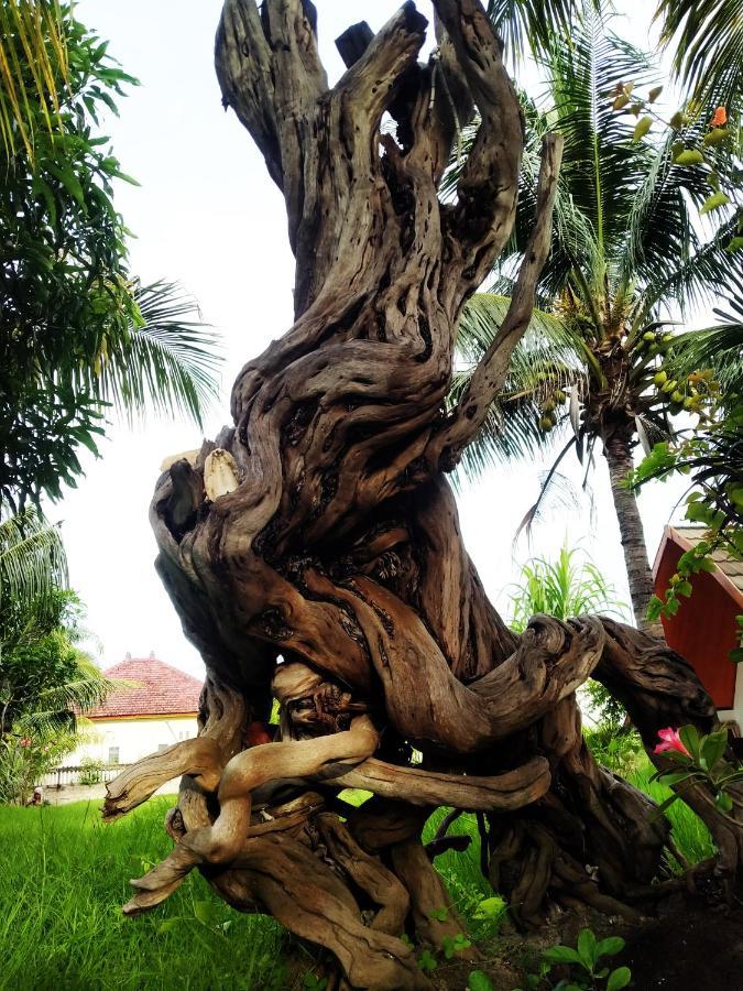 Coconut Gili Meno Hotel Ngoại thất bức ảnh